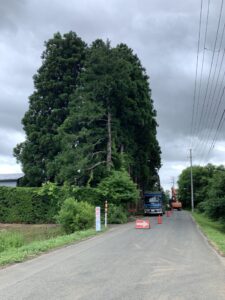 紫波町•石鳥谷町近郊　S様