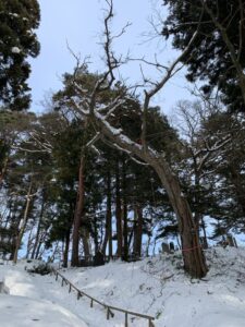 盛岡市 聖寿寺さま