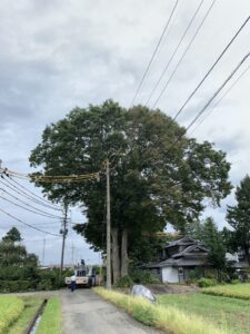 盛岡市Ｓ様　クレーン　高所作業車　伐採