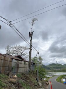 盛岡市好摩　高所作業車　特殊伐採