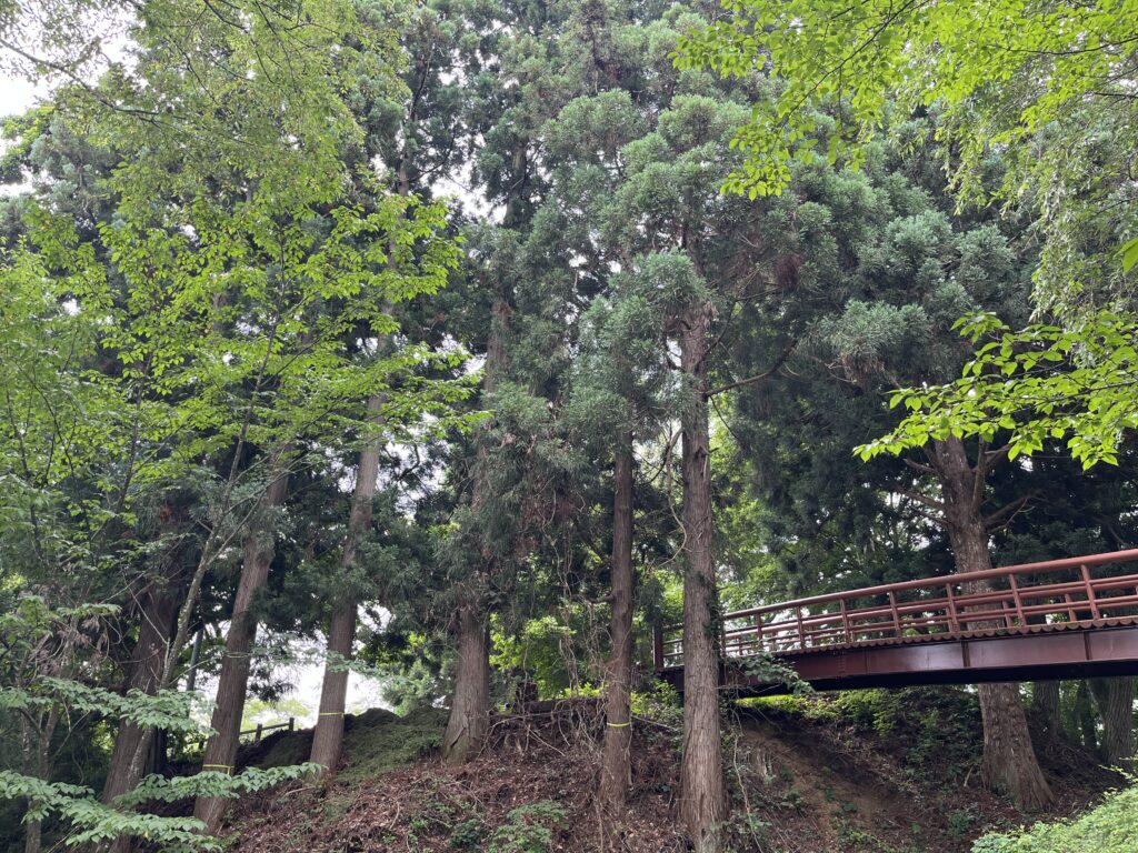 八幡平市　城跡公園　特殊伐採