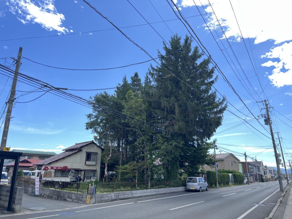 盛岡市　特殊伐採
