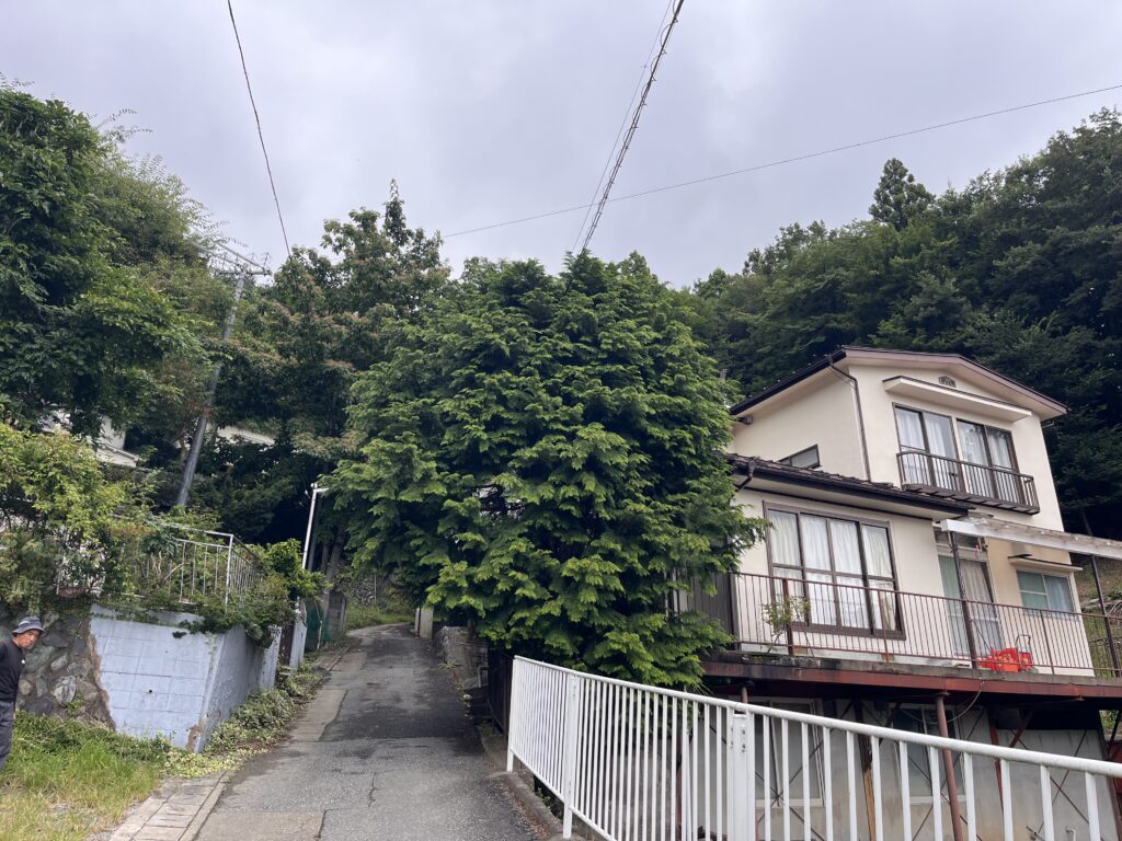釜石 狭小地 特殊伐採