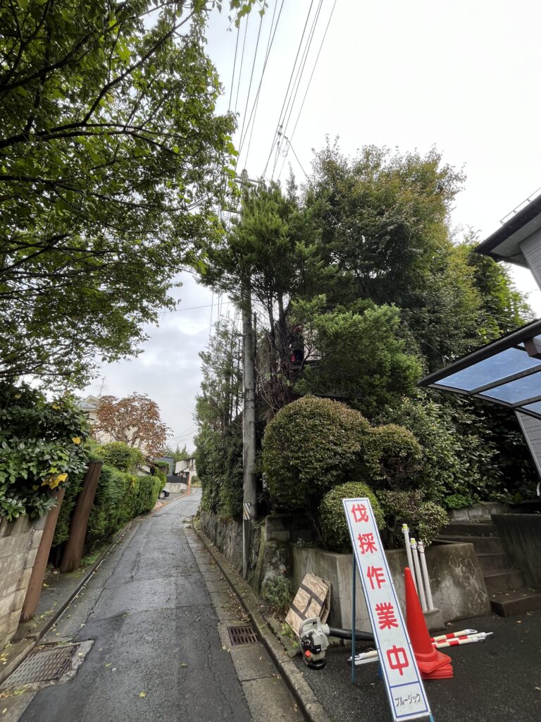 盛岡市　道路沿い　剪定